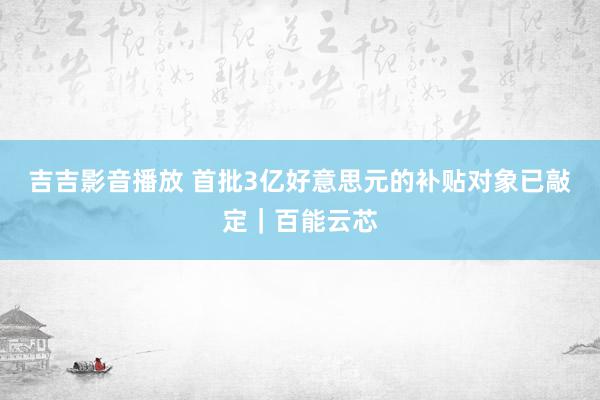 吉吉影音播放 首批3亿好意思元的补贴对象已敲定|百能云芯