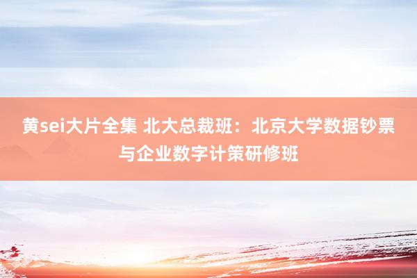 黄sei大片全集 北大总裁班:北京大学数据钞票与企业数字计策研修班