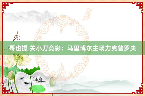 哥也操 关小刀竞彩:马里博尔主场力克普罗夫