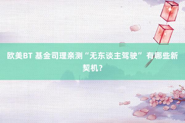 欧美BT 基金司理亲测“无东谈主驾驶” 有哪些新契机?