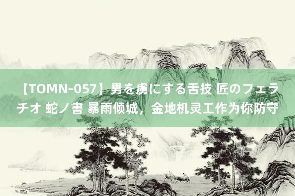 【TOMN-057】男を虜にする舌技 匠のフェラチオ 蛇ノ書 暴雨倾城,金地机灵工作为你防守