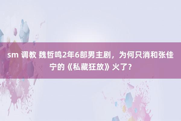 sm 调教 魏哲鸣2年6部男主剧,为何只消和张佳宁的《私藏狂放》火了?