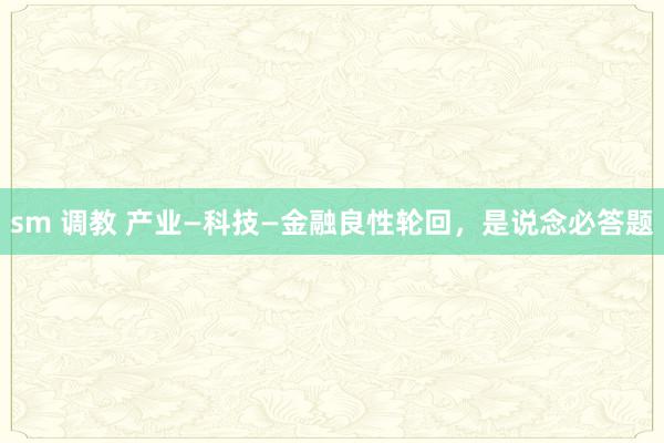 sm 调教 产业—科技—金融良性轮回,是说念必答题