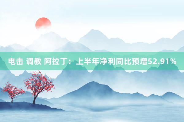 电击 调教 阿拉丁:上半年净利同比预增52.91%