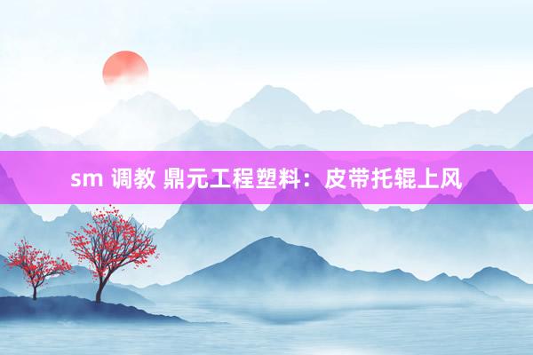 sm 调教 鼎元工程塑料:皮带托辊上风