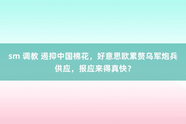 sm 调教 遏抑中国棉花,好意思欧累赘乌军炮兵供应,报应来得真快?