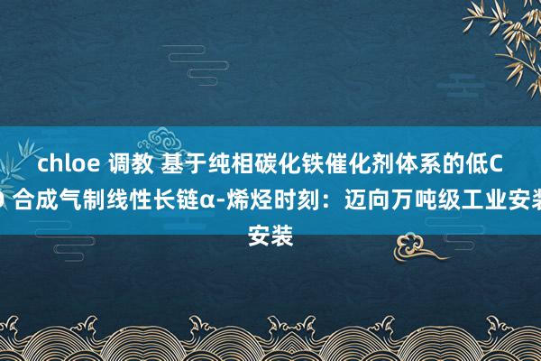 chloe 调教 基于纯相碳化铁催化剂体系的低CO 合成气制线性长链α-烯烃时刻:迈向万吨级工业安装