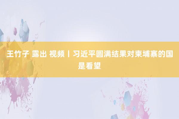 王竹子 露出 视频丨习近平圆满结果对柬埔寨的国是看望