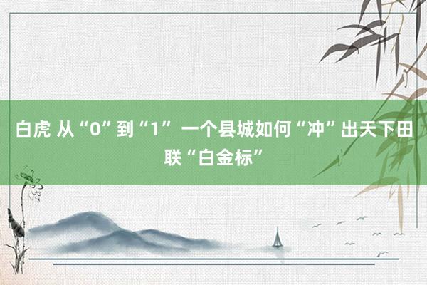 白虎 从“0”到“1” 一个县城如何“冲”出天下田联“白金标”