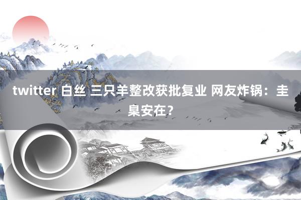 twitter 白丝 三只羊整改获批复业 网友炸锅:圭臬安在?