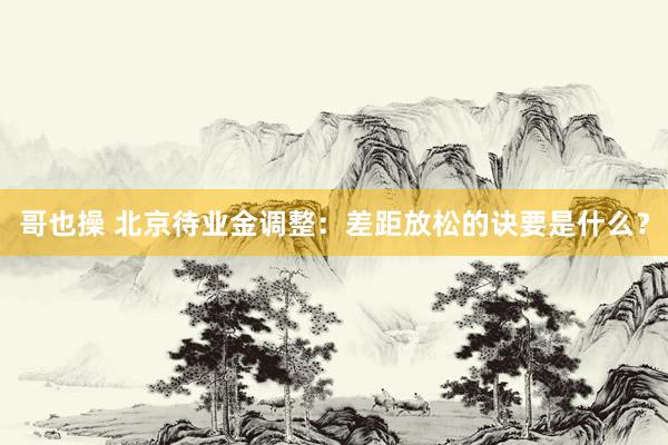 哥也操 北京待业金调整:差距放松的诀要是什么?
