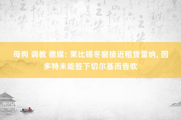 母狗 调教 德媒: 莱比锡冬窗接近租赁雷纳, 因多特未能签下切尔基而告吹