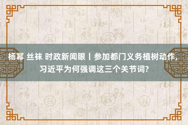 杨幂 丝袜 时政新闻眼丨参加都门义务植树动作, 习近平为何强调这三个关节词?