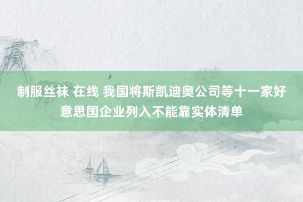制服丝袜 在线 我国将斯凯迪奥公司等十一家好意思国企业列入不能靠实体清单
